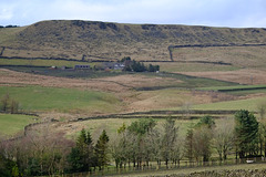 Cown Edge