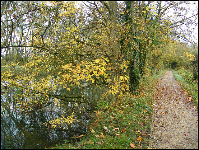 Thames Path in autumn