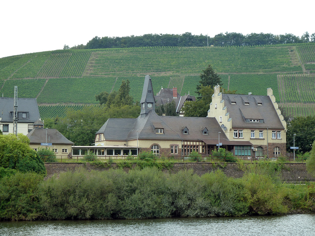 Rebberg hinter dem Bahnhof Winningen an der Mosel