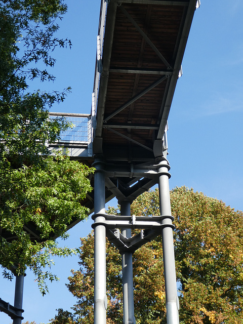 Baumwipfelpfad in Beelitz-Heilstätten