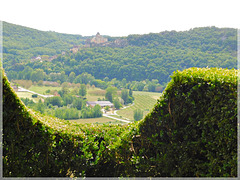 Vue depuis les jardins de Marqueysac (24)