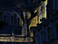 salisbury cathedral (11)