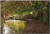 HWW ~ Uppermill Canal basin in Autumn