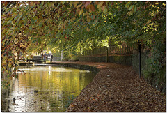 HWW ~ Uppermill Canal basin in Autumn