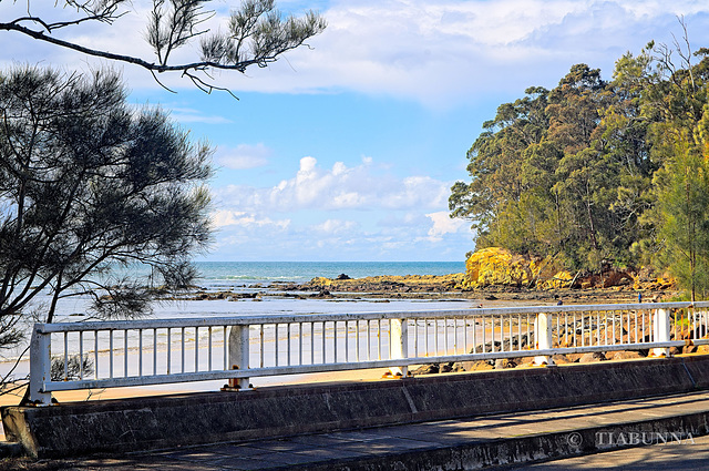Beach Road Bridge Fence