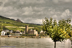 Brömserburg von Rüdesheim