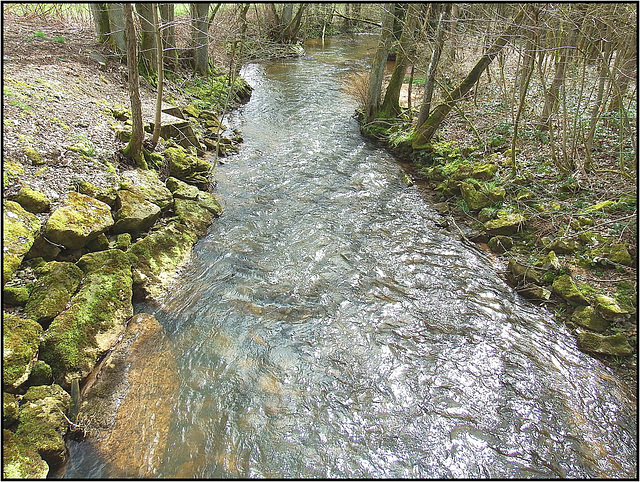 Zisterzienserabtei Himmerod, Eifel 015