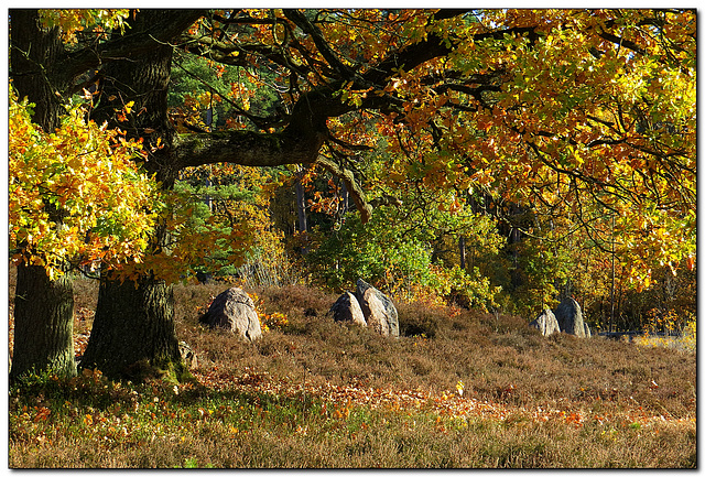 Herbst