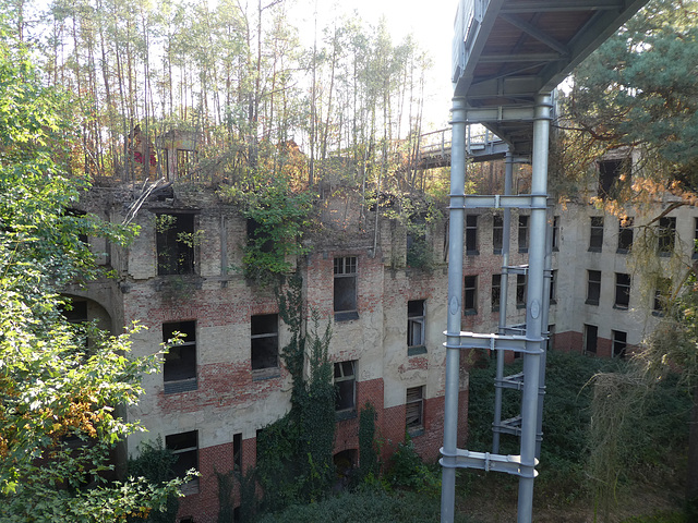 Baumwipfelpfad in Beelitz-Heilstätten