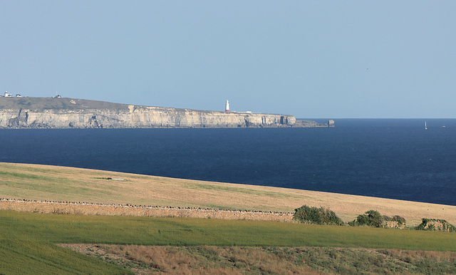 EOS 90D Peter Harriman 19 31 45 34208 portlandBill dpp