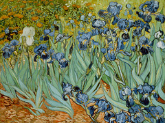 Irises by Vincent van Gogh --- Image by © J.P.GETTY TRUST/CORBIS SYGMA