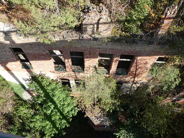 Baumwipfelpfad in Beelitz-Heilstätten