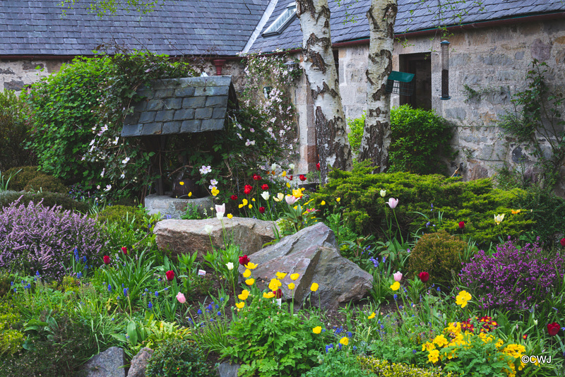 May Courtyard garden colours