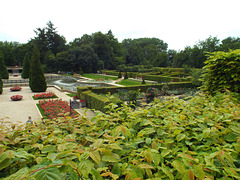 DSCF7932