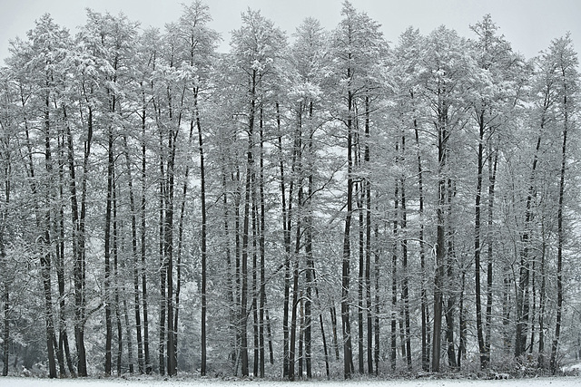 91E0. Winteraspekt. 91E0. Winteraspekt.