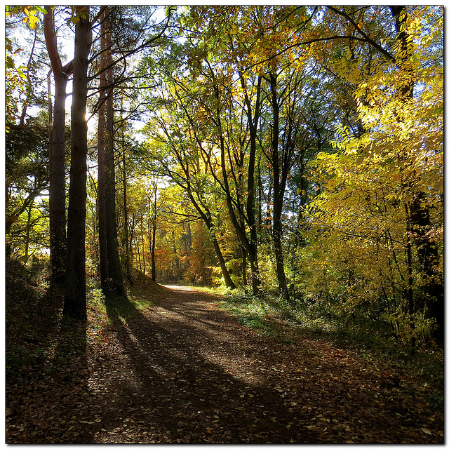 Herbstweg