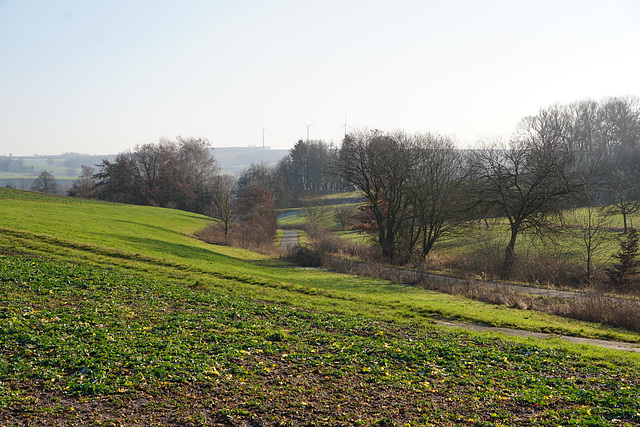 Herrliches Wanderwetter V