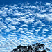 Georgia O'Keeffe Sky viewed from the Lanai