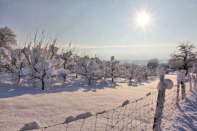 Ein Wintertag wie aus dem Bilderbuch