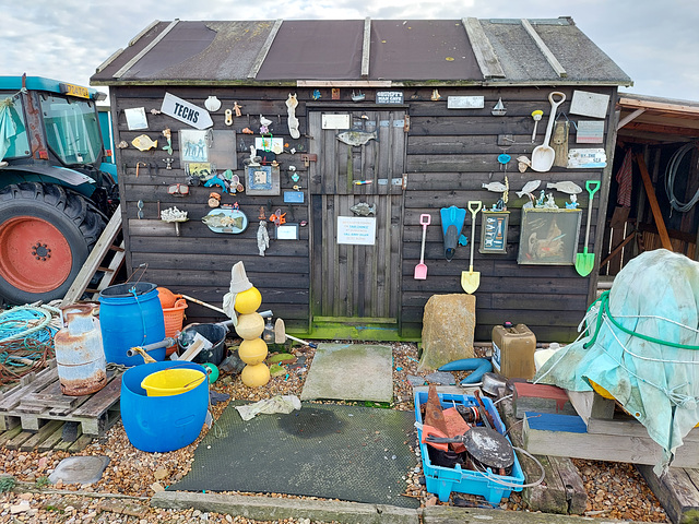 Shed Art