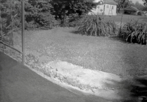 Pinhole Front Yard