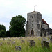 Steyning - St Andrew and St Cuthman