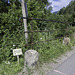 Hier nicht nach links durch das Gebüsch 'runter ... siehe P.i.P. (© Buelipix)