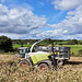 Harvesting the corn