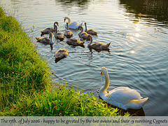 The growing family re-visited, Leeds to Liverpool canal. The growing family re-visited, Leeds to Liverpool canal.
