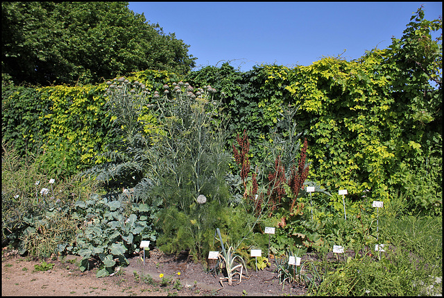 Jardin botanique de La Charme -63 (18)