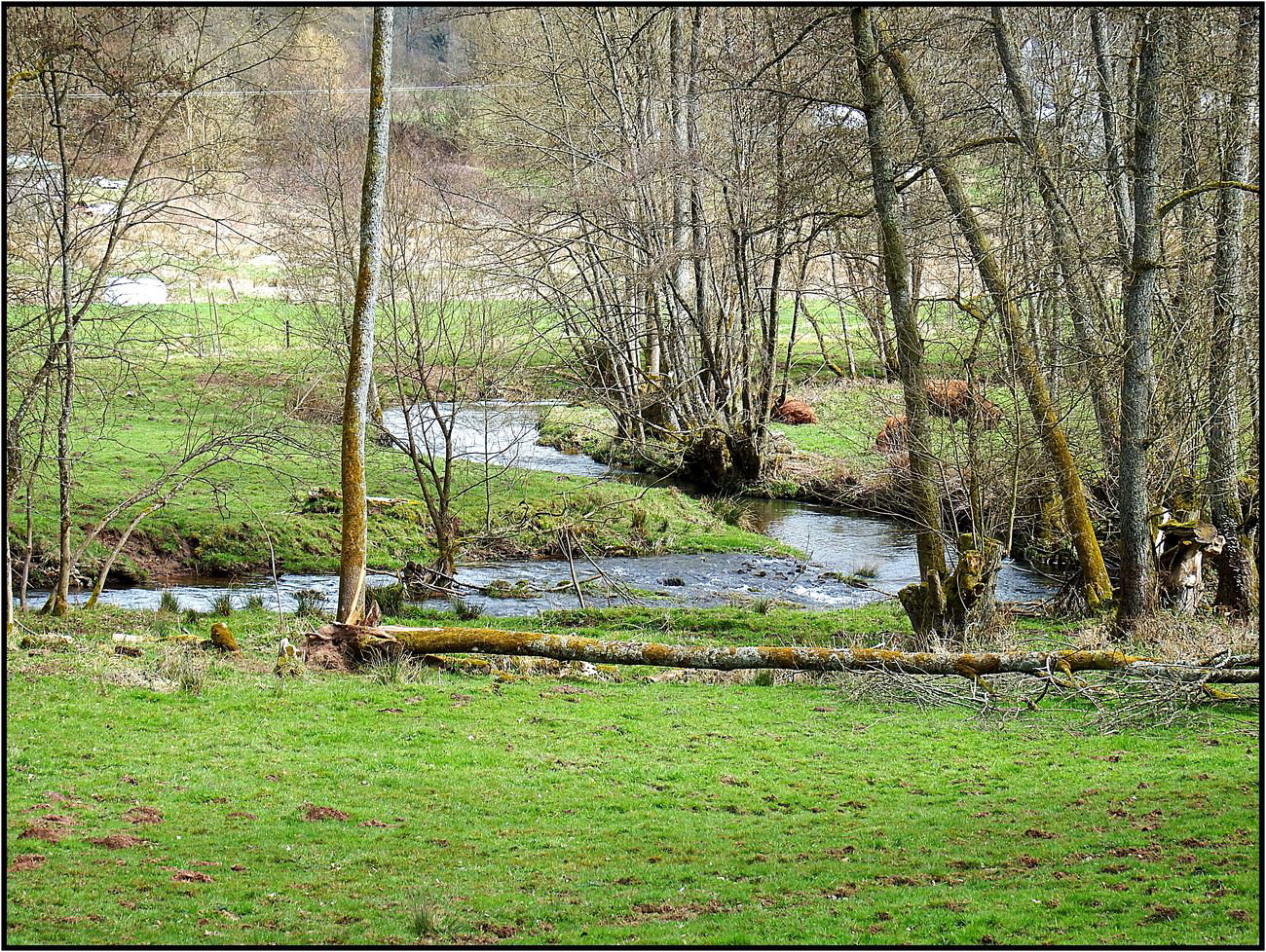 Zisterzienserabtei Himmerod, Eifel 018