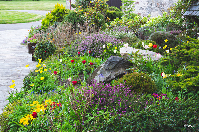 May Courtyard garden colours