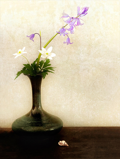 FF15 2022 bluebell