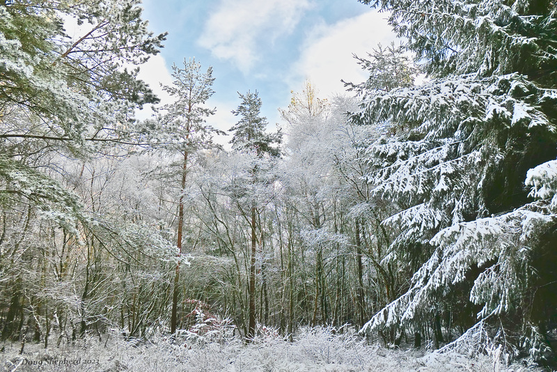 First snow of winter 2023 (1 x PiP)