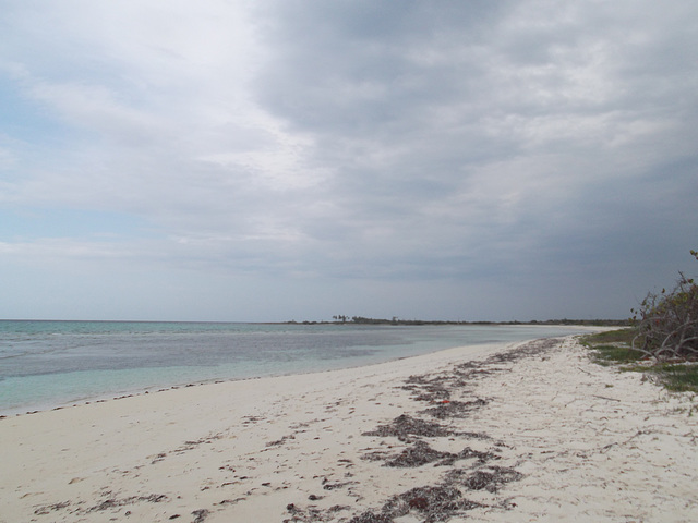 Plage paisible à la cubana