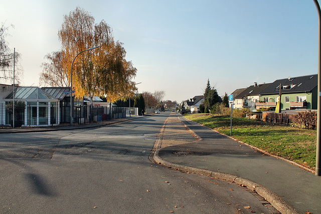 Frische Luft (Dortmund-Wickede) / 12.11.2016