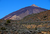 HFF am Teide