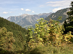 Der Herbst kommt