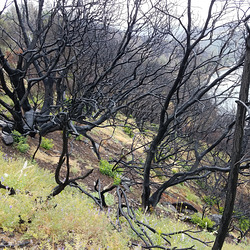 20190515 140209 001 20190515 140209 001