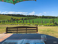 The morning papers in sunshine