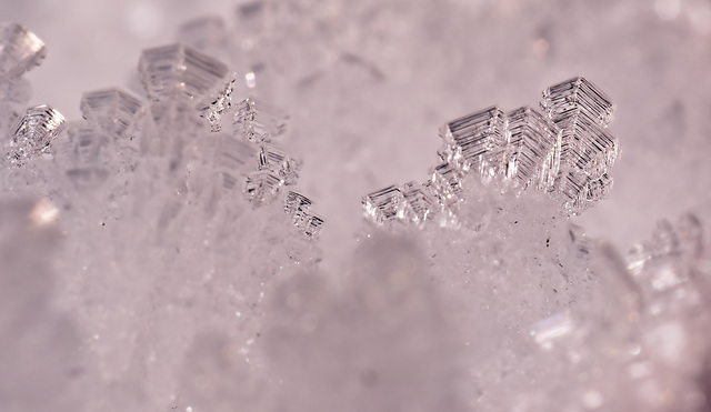 .........die funkelnden Diamanten der Schneekristalle.................the sparkling diamonds of the snow crystals.................les diamants étincelants des cristaux de neige........