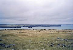 Looking over Church Rock to Stackpole Head from St Govan’s Head. (Scan from Feb 1995)