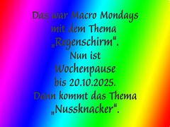 pause nussknacker