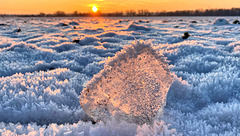 Homepage Vorschlag Thema Winter