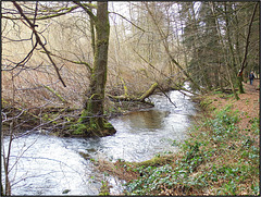 Zisterzienserabtei Himmerod, Eifel 020