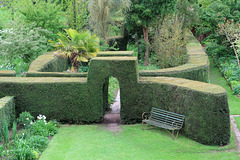 Yew hedges