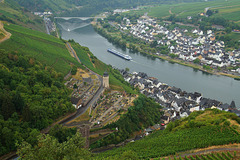 Zell im Regen