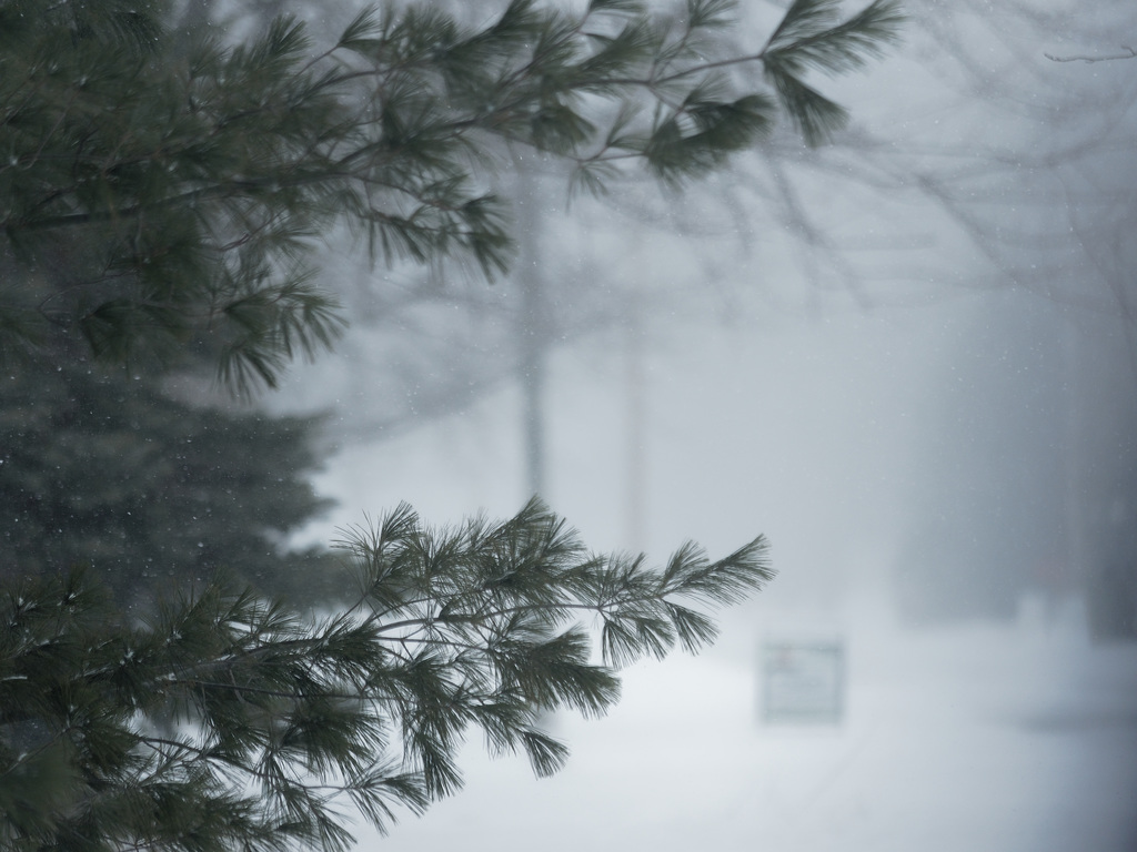 Near Whiteout