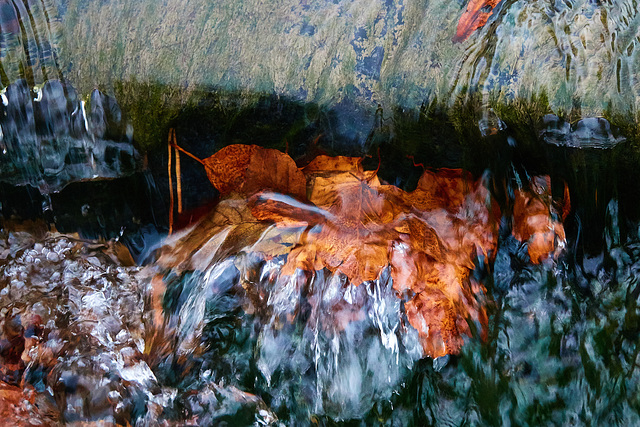 All Fall Drown!!! 1 All Fall Drown!!! 1
