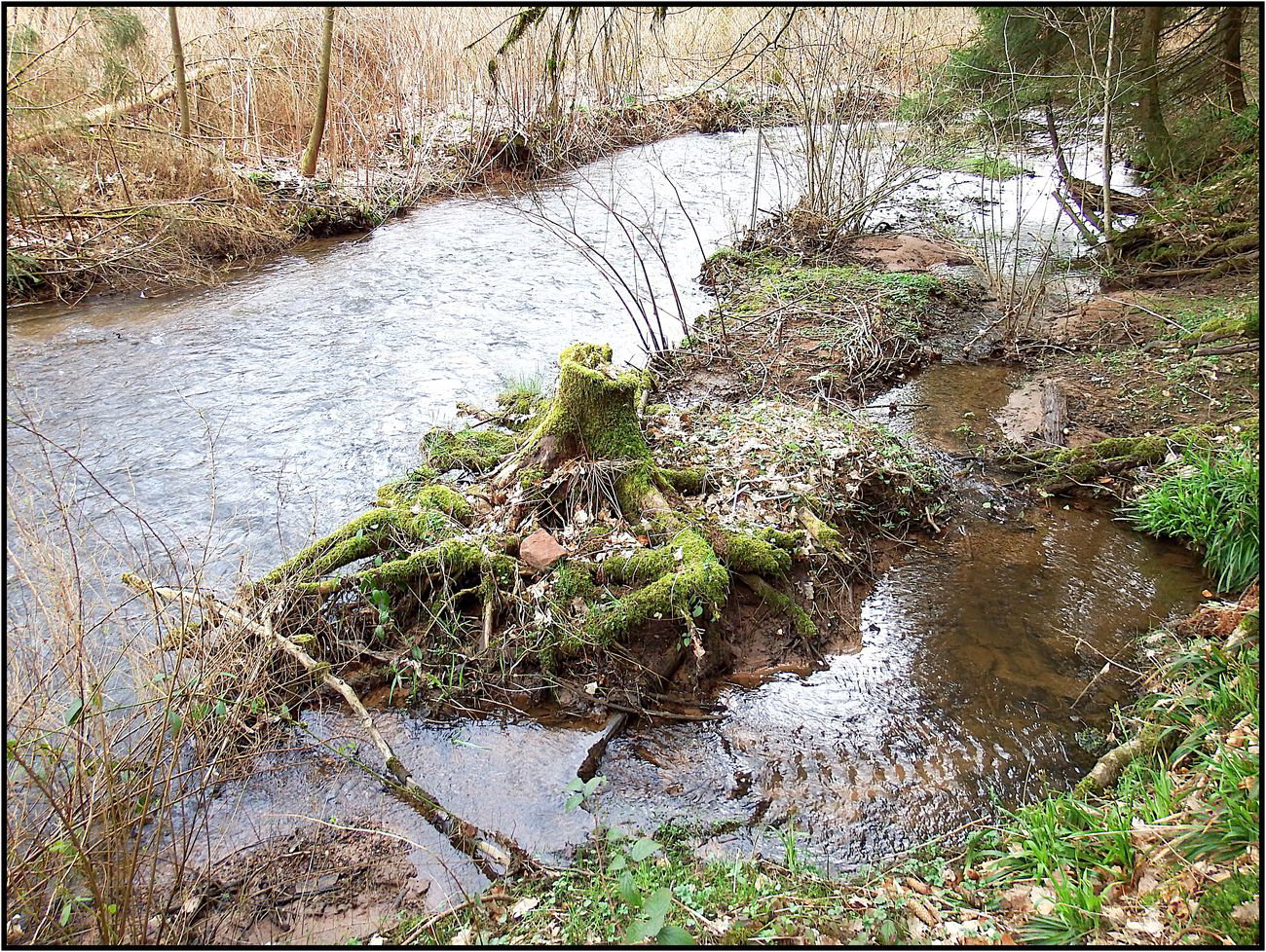 Zisterzienserabtei Himmerod, Eifel 021